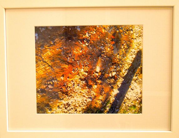Fragments - 2013<br /><br /><h6>South of France: Path</h6>  Artistâ€™s photographic print on Somerset Velvet 1/5 <br /> 400mm x 300mm H <br /><br /><br /><br /><br /><br /><br /><h7>For sale</h7>